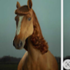 Meet your Posher, Deana